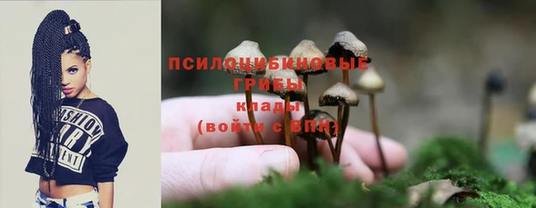 каннабис Алзамай