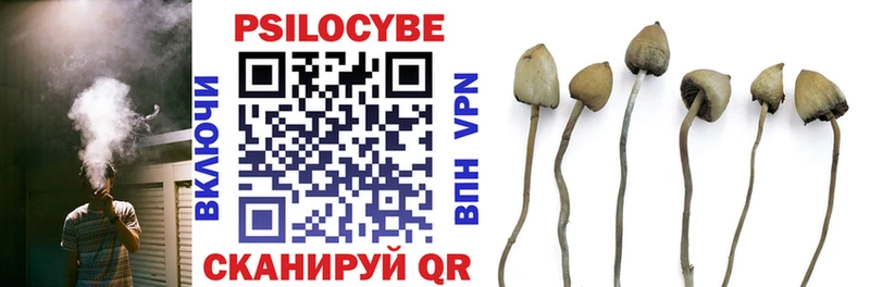дарк нет клад  omg ссылки  Сухой Лог  Псилоцибиновые грибы GOLDEN TEACHER 